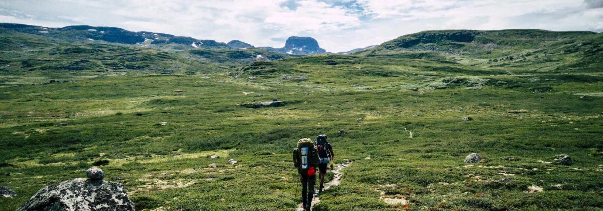 Ferskingtur på Hardangervidden, verdens tak!