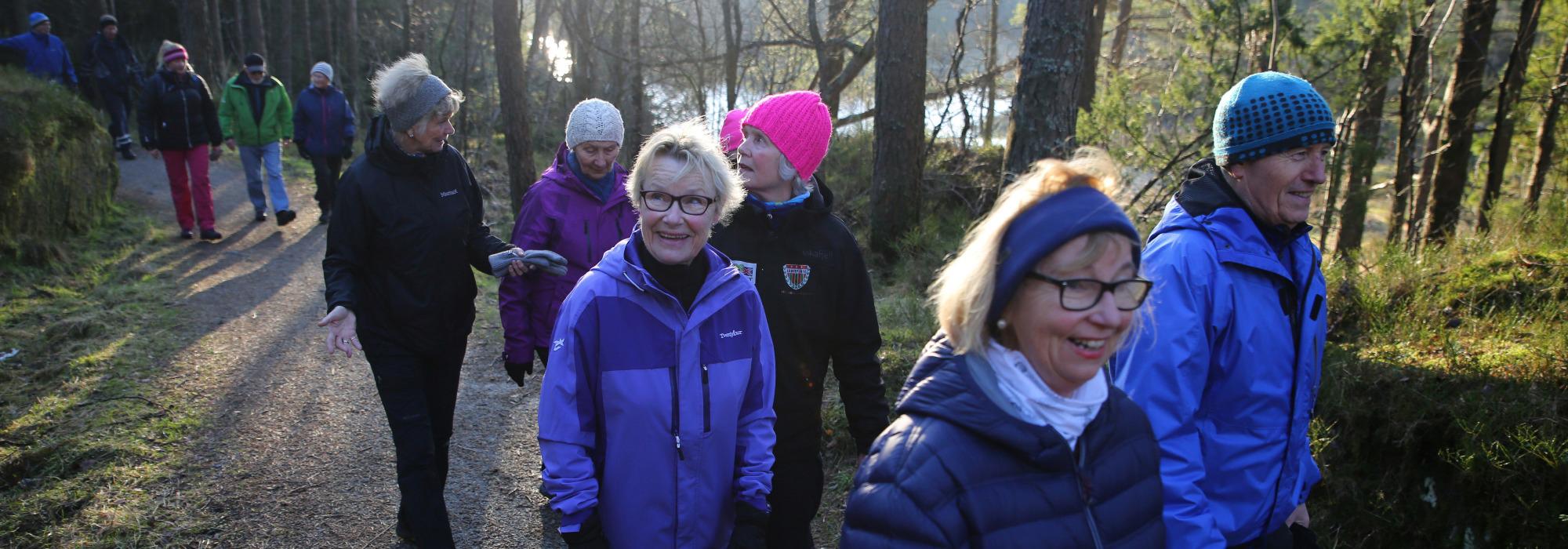 Enkel fottur i Kanadaskogen