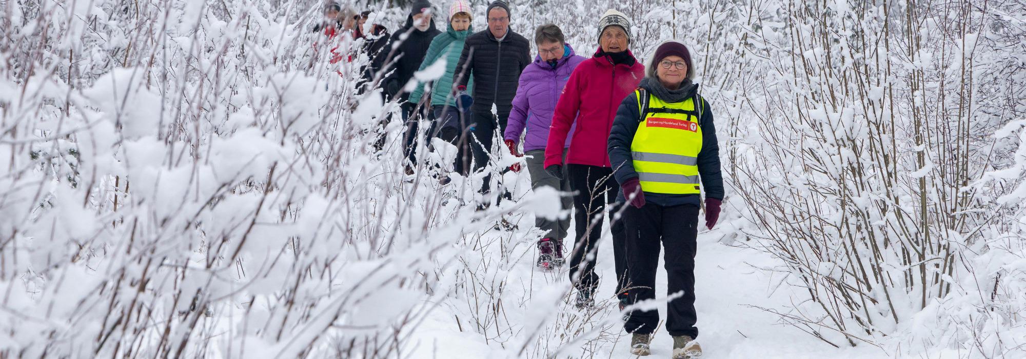 Enkel fottur langs Storelva i Arna