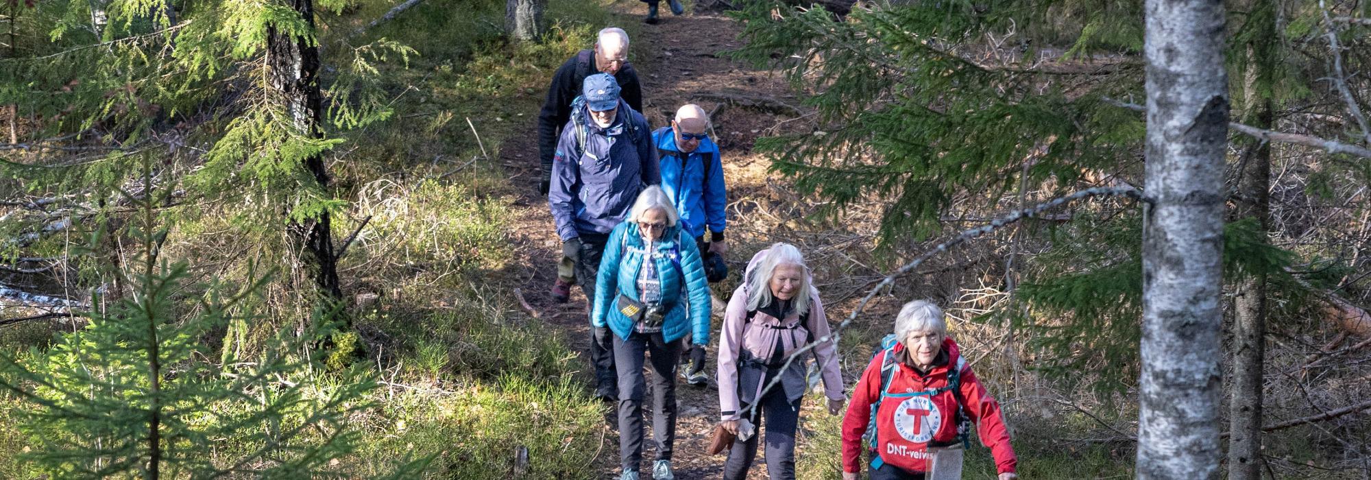 Nærtur fra Tonsenhagen