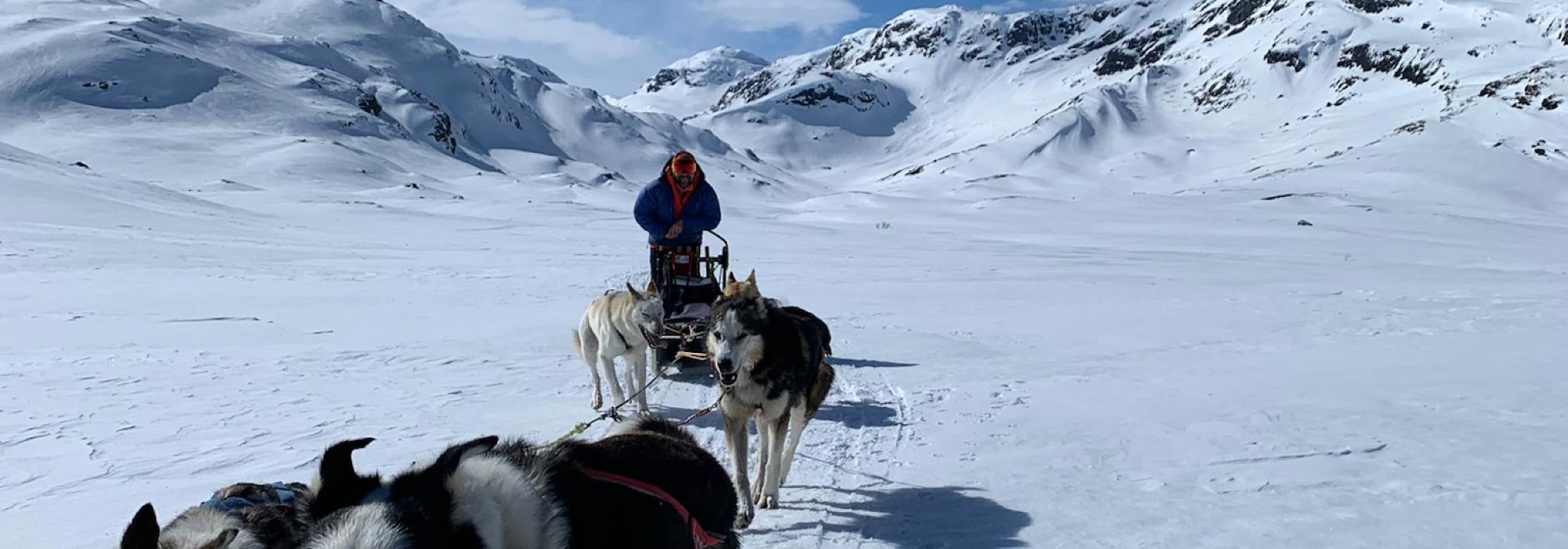 Helgetur med hundespann i Iungsdalen