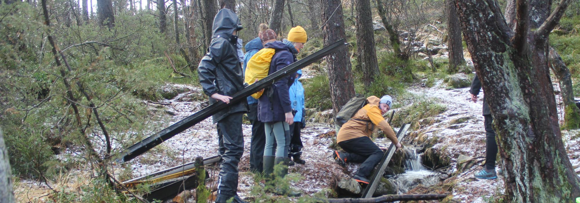 Kom Deg Ut dagen, 60 grader nord i Alvøskogen 2025