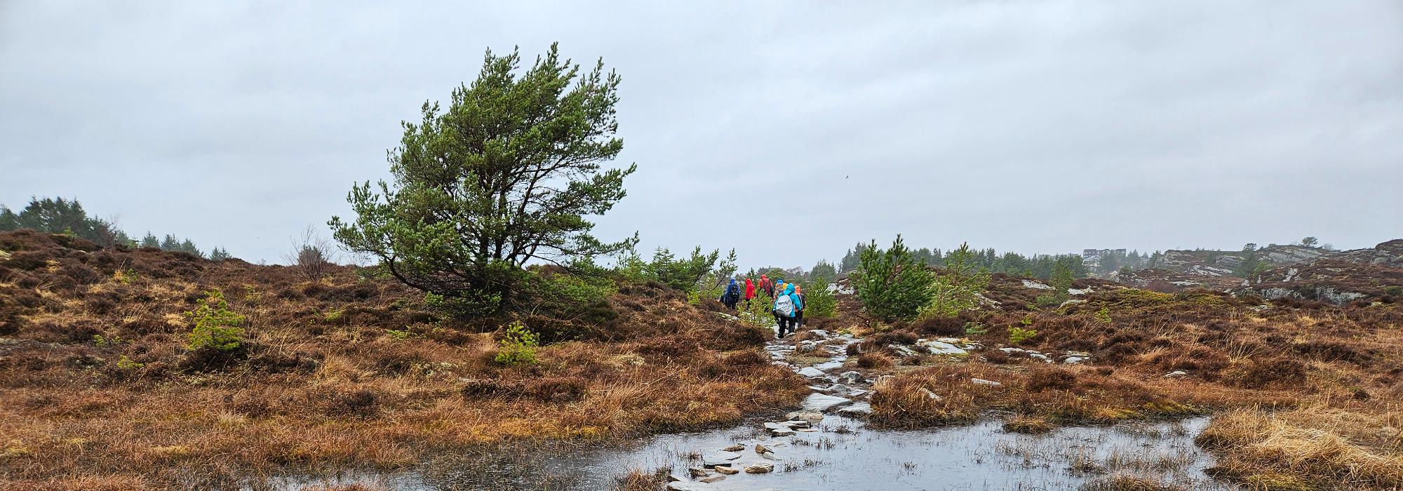 Fuglavatnet rundt med Onsdagsgruppa