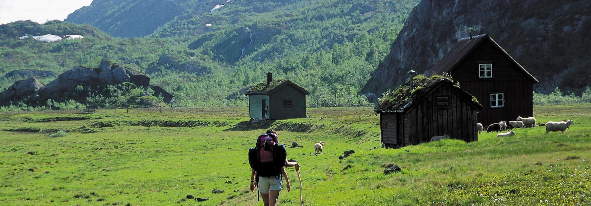 Vilt og Vakkert - Kvanndalen frå alle kantar