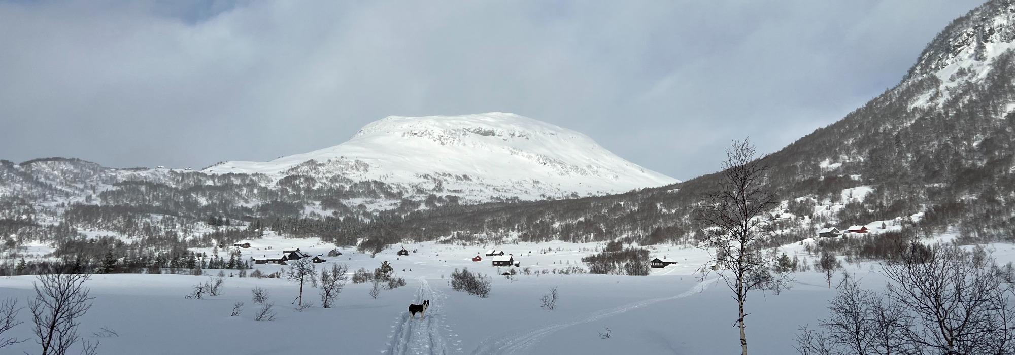 Sundagstur: Myrkdalen - Svolefjell - Vinje