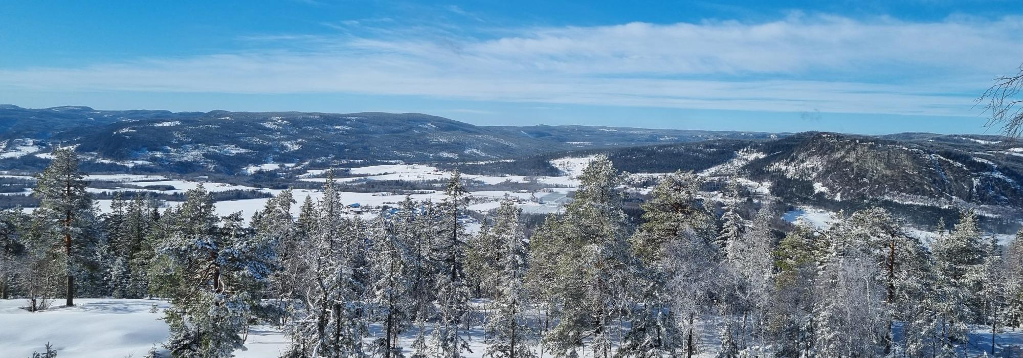 Skitur i Vestmarka med overnatting på nye Svartvannshytta