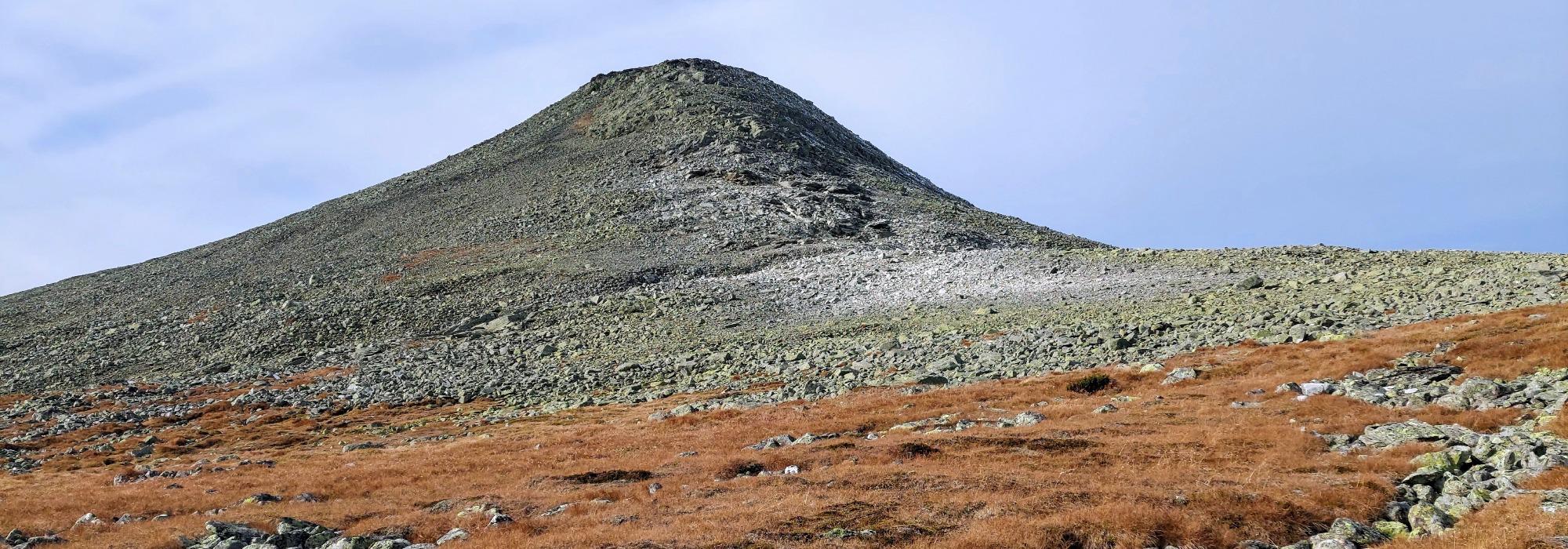 Belgjinøse på Slettefjellet 1600 moh - Kremtopp 2025
