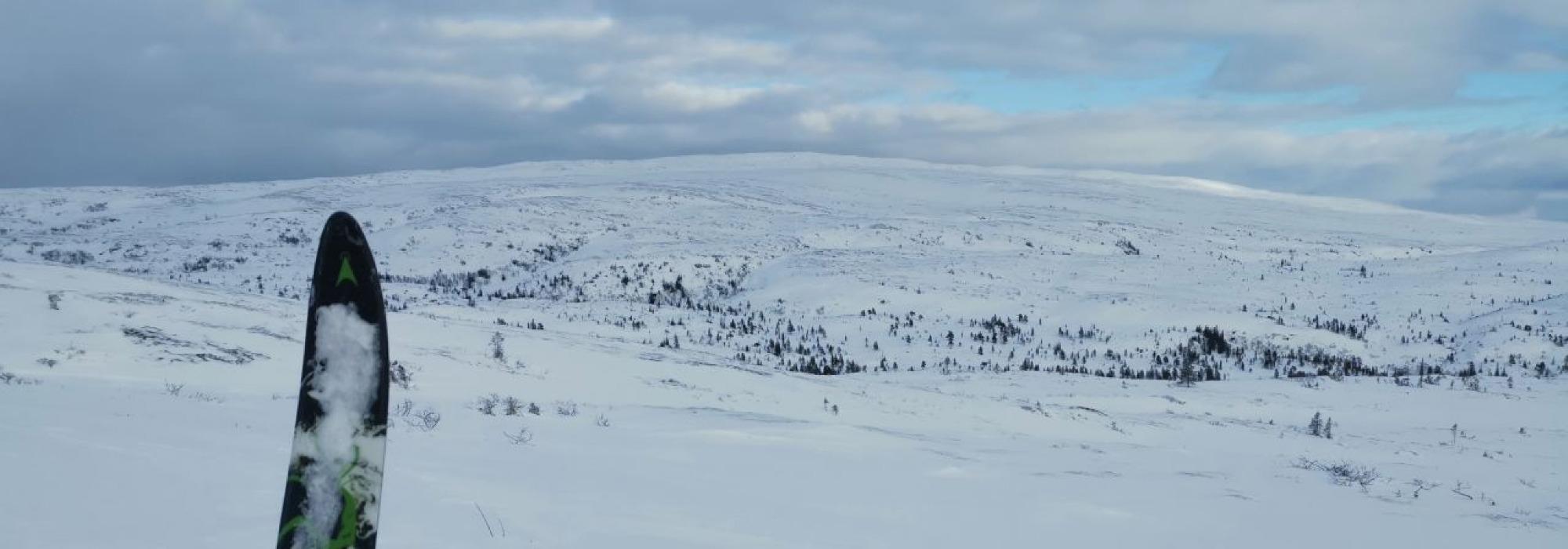 Skitur til Kråkfjellet 2025