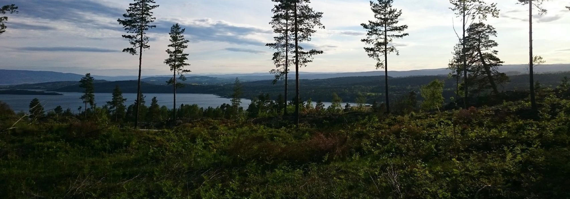 Rundtur i Åsa