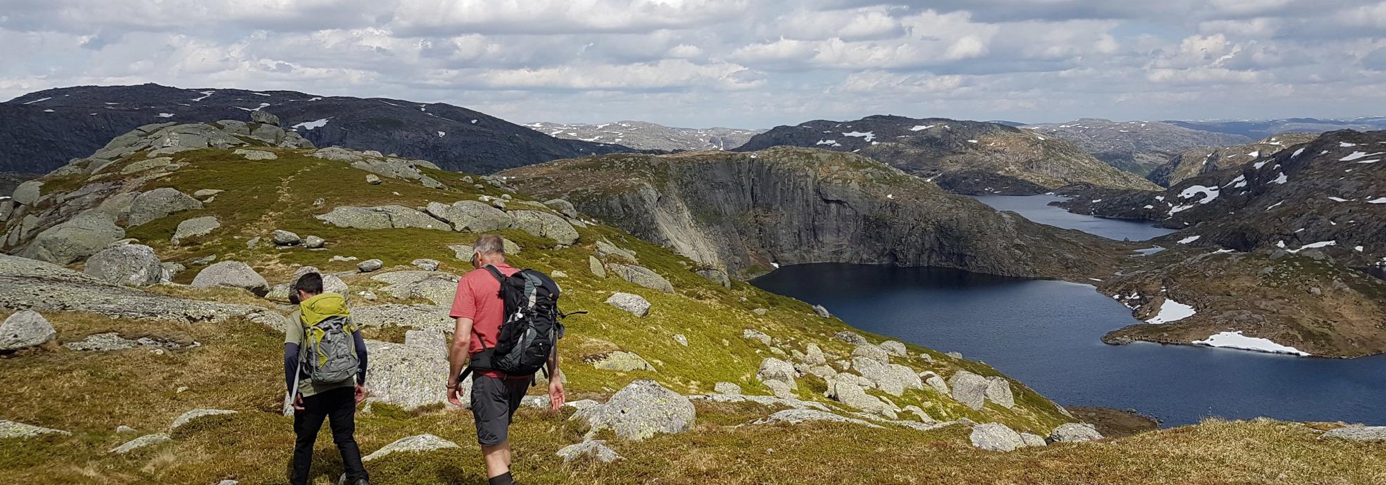 Gongekronuten og Storbakknuten