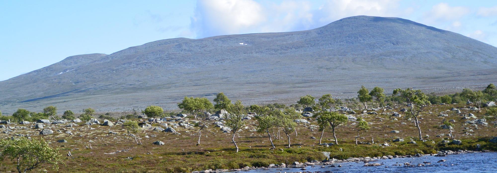 Femundsmarka fra Røros til Elgå