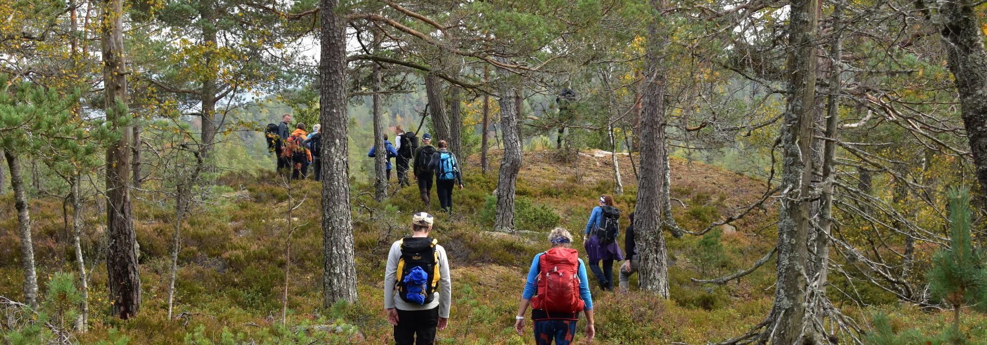 Skien Turlag Aktiv - Ut i det blå