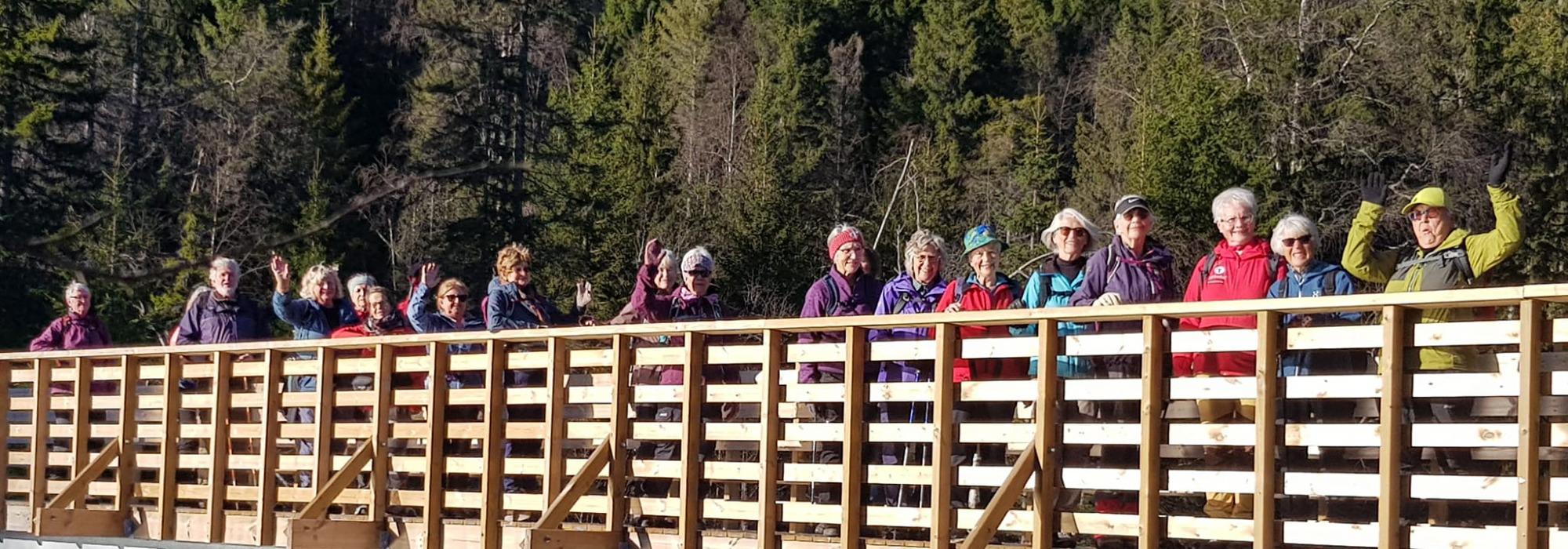 Mandagsturene 60+: Tur til Leitjernfjellet