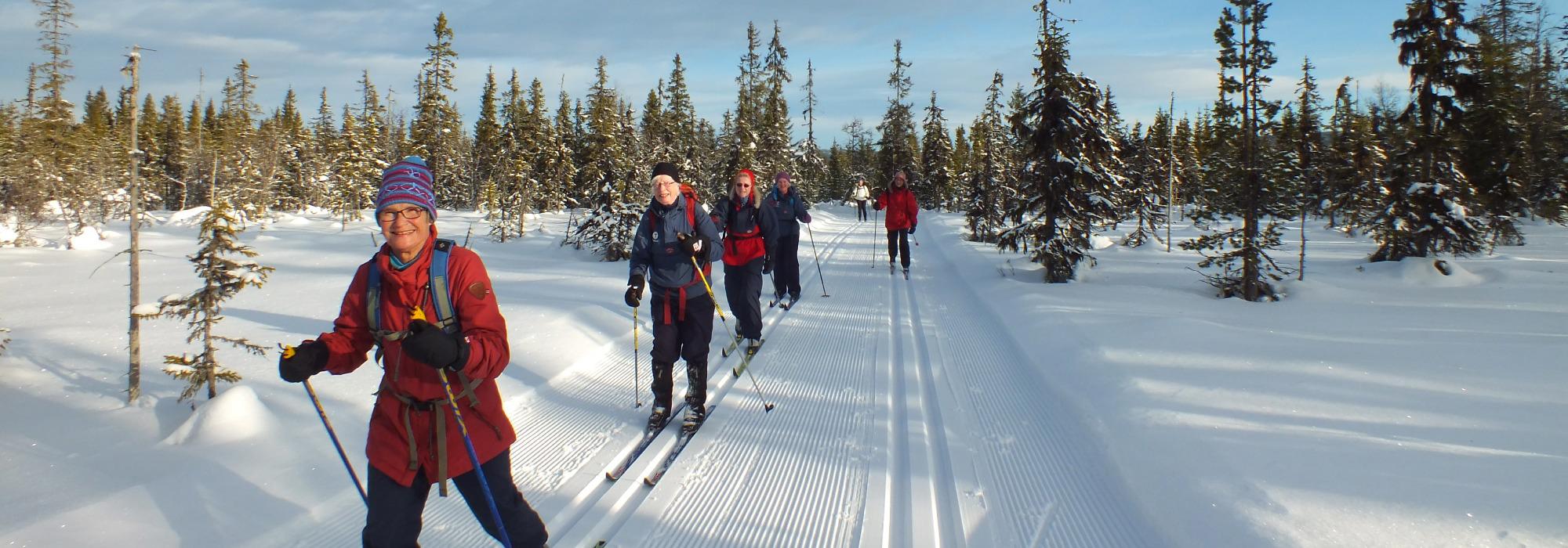 HHT Onsdagsgruppa: Skitur fra Vollkoia