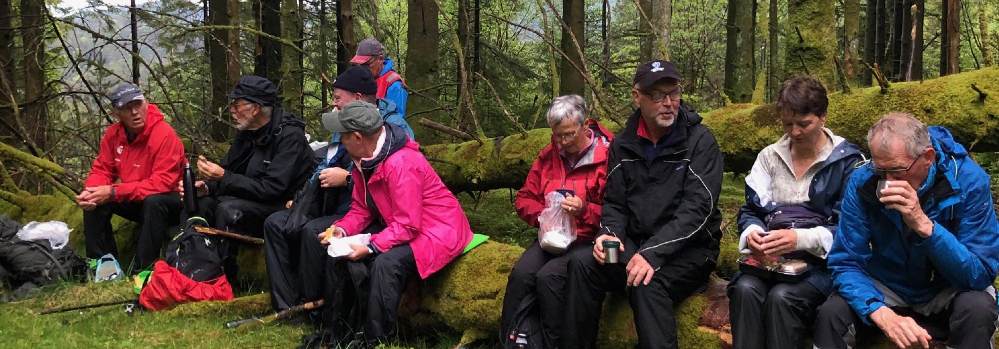 Seniortur, Blått Nivå