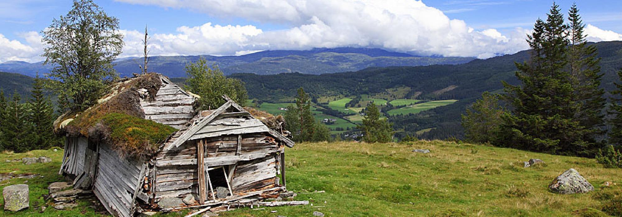 Senior kveldstur: Tillung - Kviting