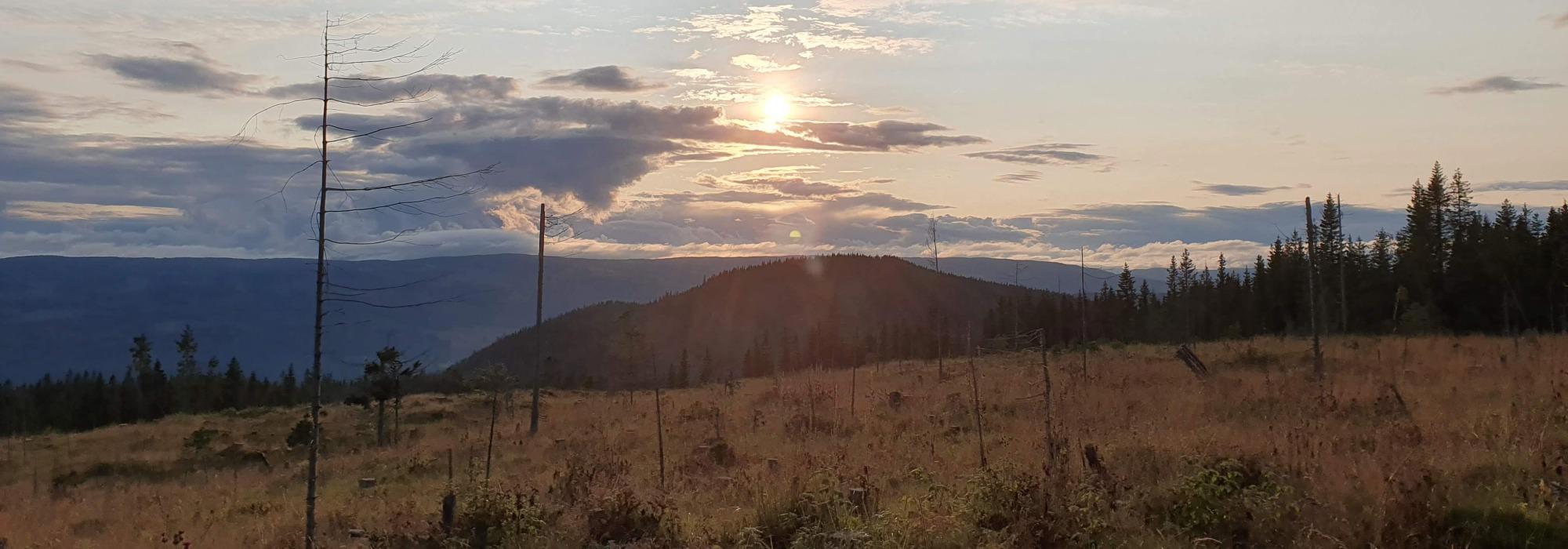 Kveldstur i Gropmarka