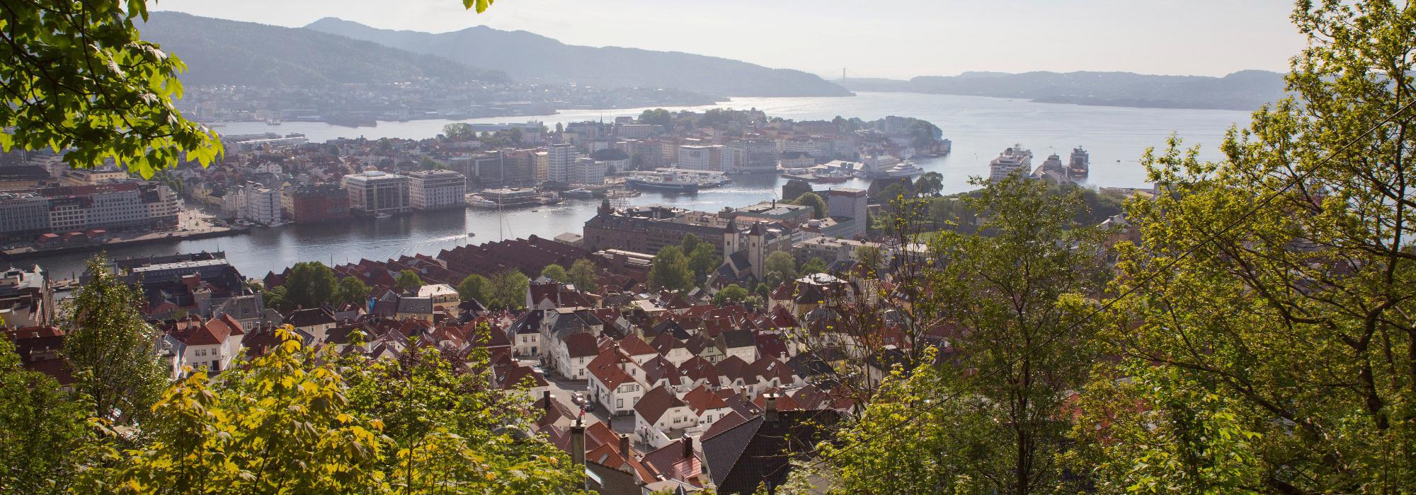 Fottur i fjellveien fra Bellevue til Sandviken med Klart det går