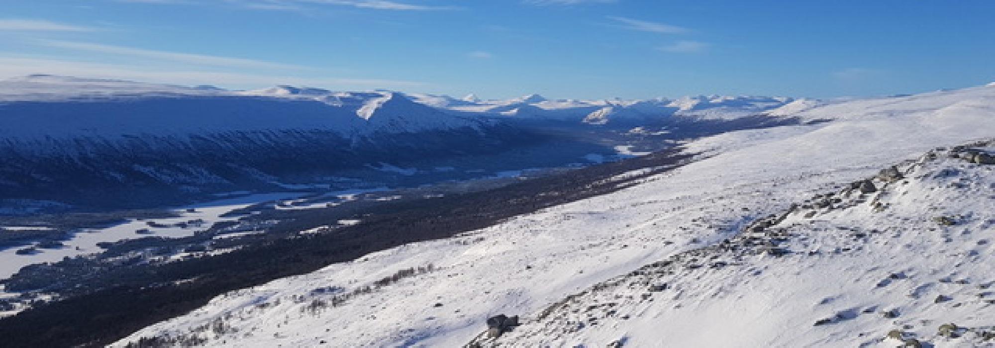 Topptur mot Odolshøe, Lesja