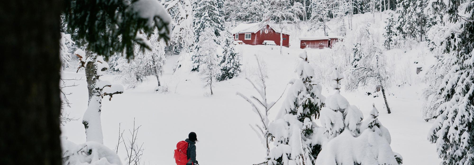 Skitur Ringkollen-Sørkedalen