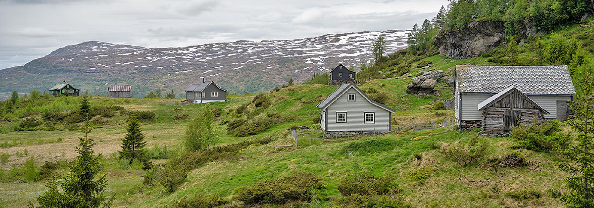 Senior: fottur Heggjavad - Kviting - Kiseldur - Heggjavad