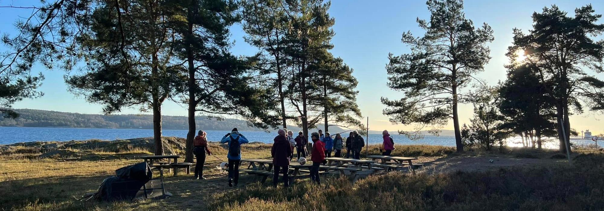 Ut på tur Tofte og Filtvet: Djervbanen-Sandbukta, Ertsvika, Knattvold, Schøttelvik, Korvik, Bjerkelund, Jahren, Holmsbu.