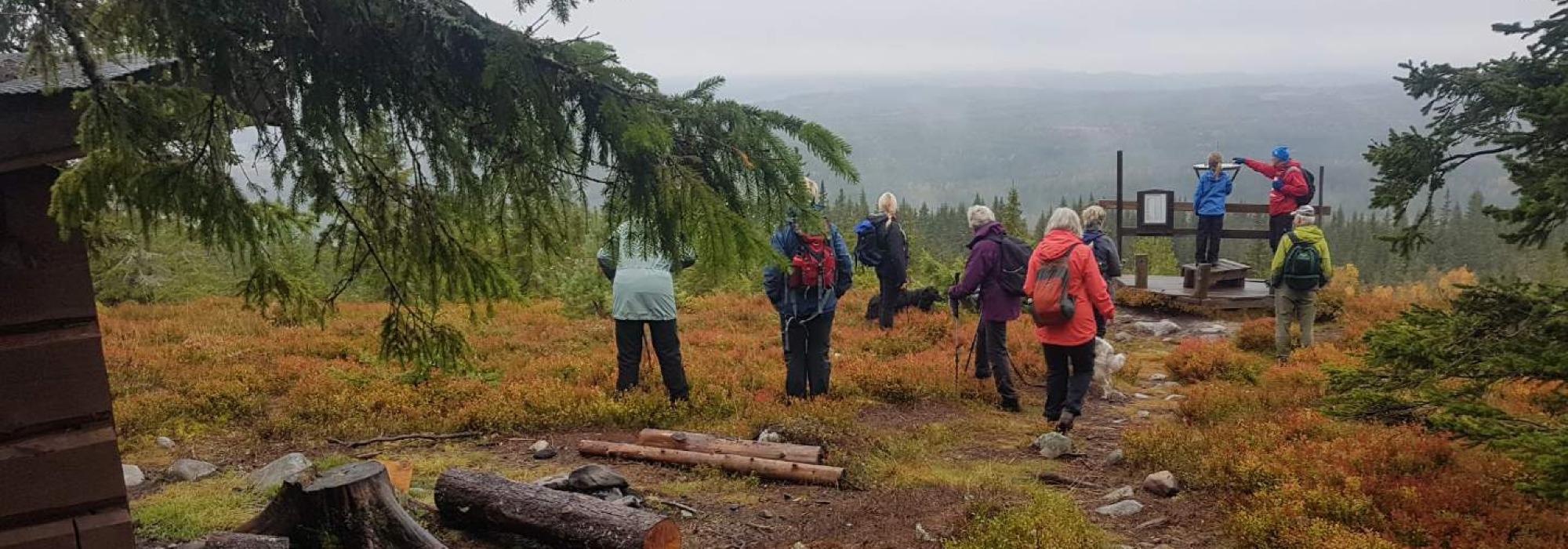 Fottur fra Vollkoia til Blåmyrkoia og Brattberget