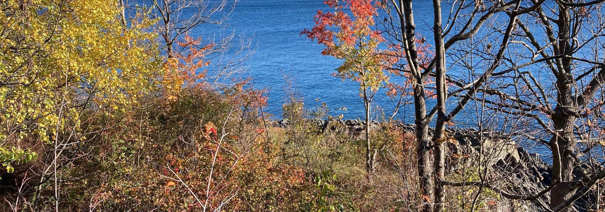 Aktiv i 100 Mandager fra Oksenøya bruk - Fornebu