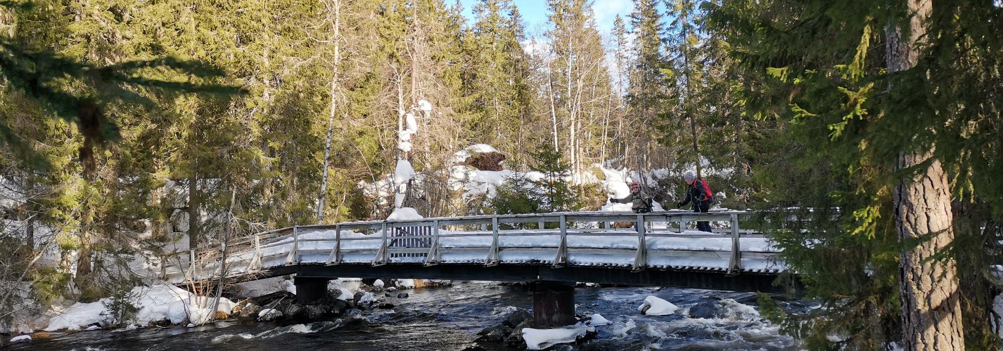 Kveldstur fra Sjøseterveien til Mesnasaga