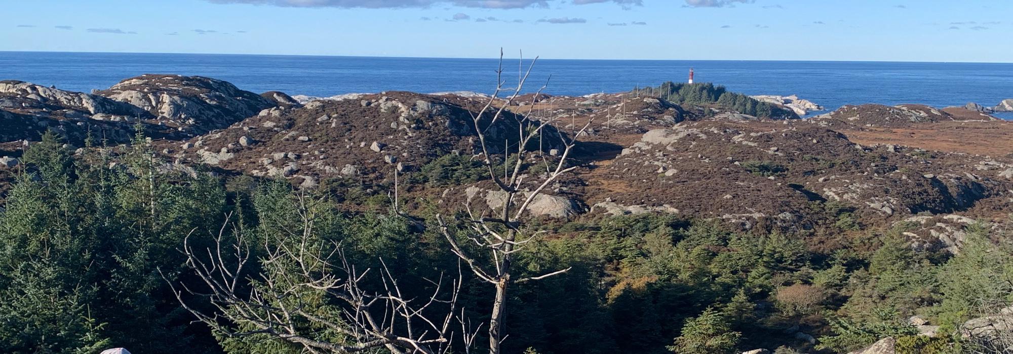 Seniortur, Blått nivå