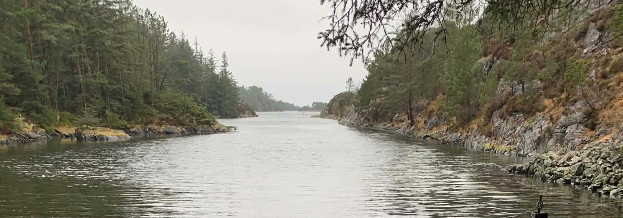 Seniortur, Grønt nivå