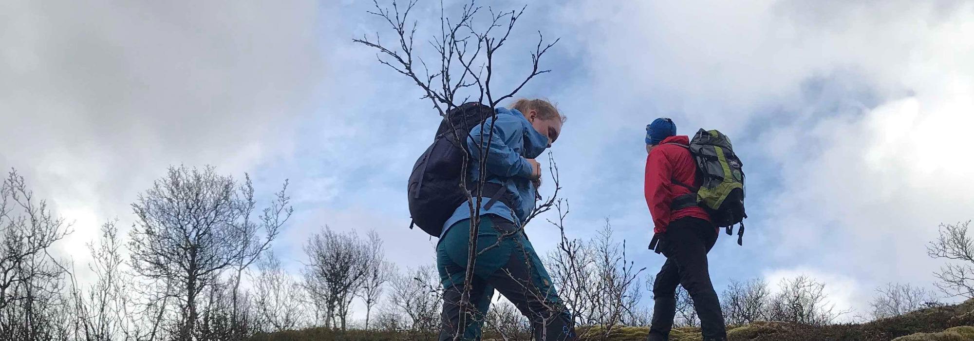 Fjelltur til Jamnfjellet på Grytøya
