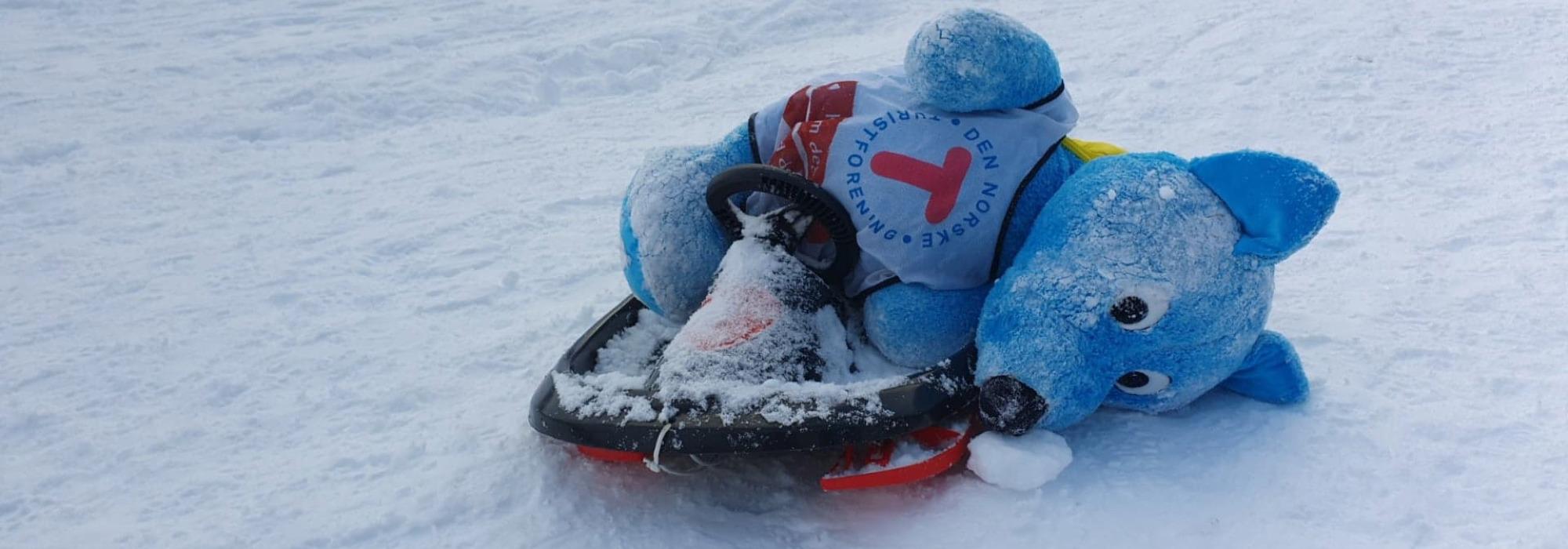 KOM DEG UT DAGEN - Heile Norge båler