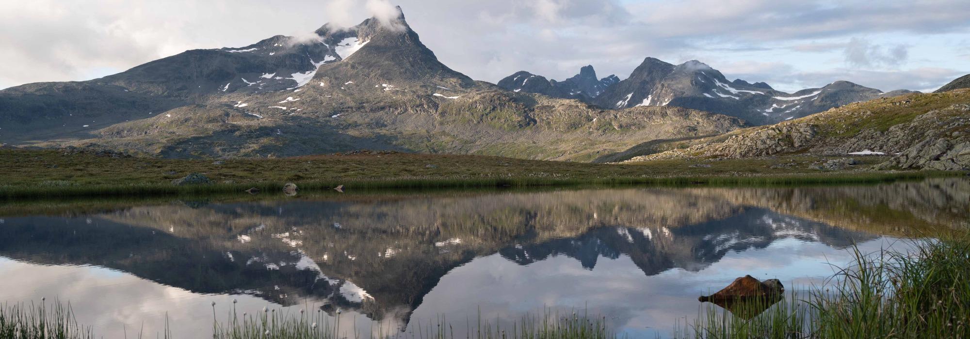 Fottur til Grånosi i Fardalen