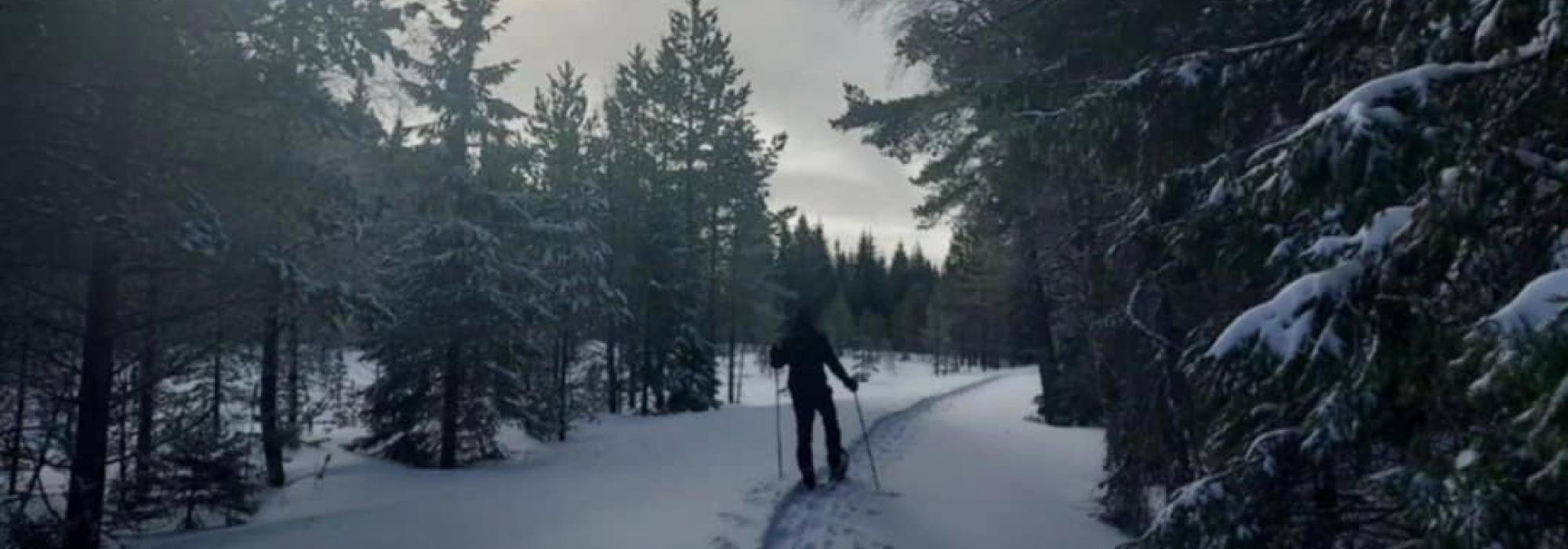 DNT-Aktiv; Trugetur til Vardås i Kodal