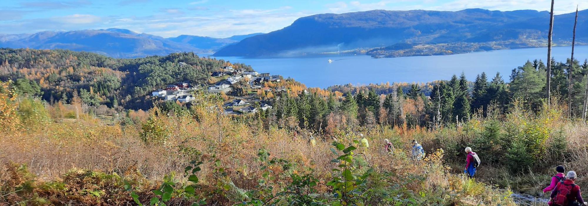 Tysdagstur dagtid - Bøkammen