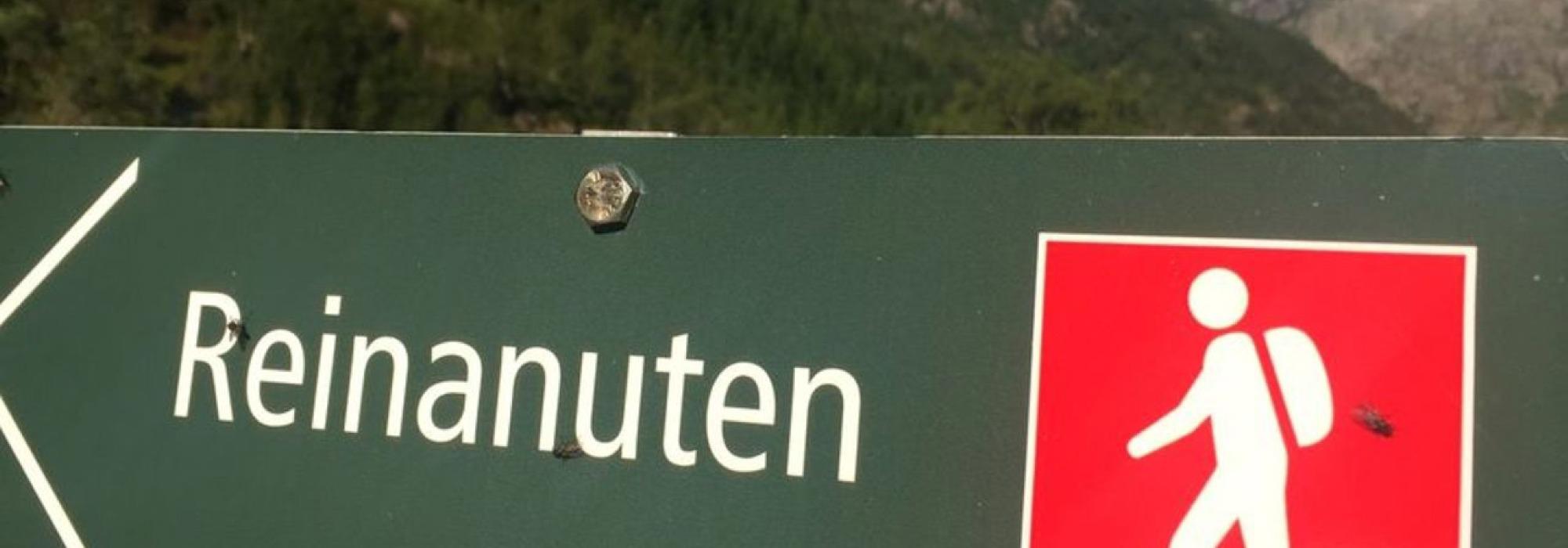 Reinanuten i Odda