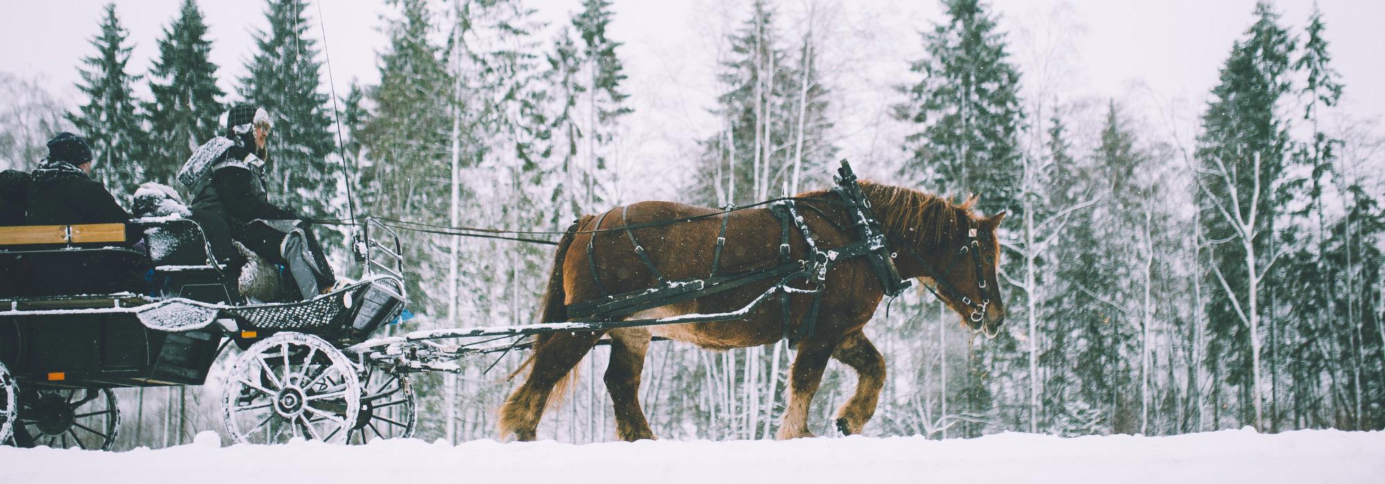 Barnas Turlag Ål - Tidsreisen