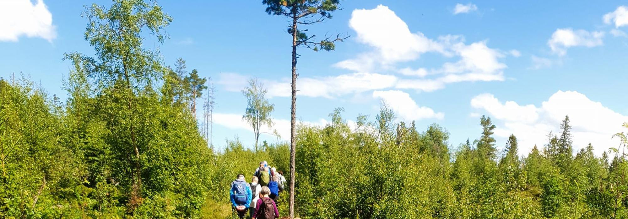 Veteranan Langs «nye» stier fra Lian */**