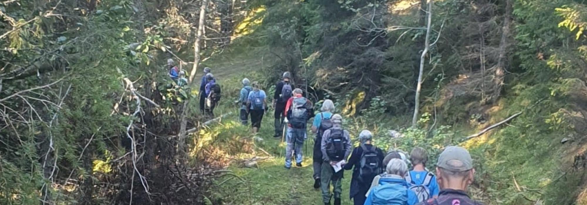 Veteranan Vassfjellet fra Skjøla **