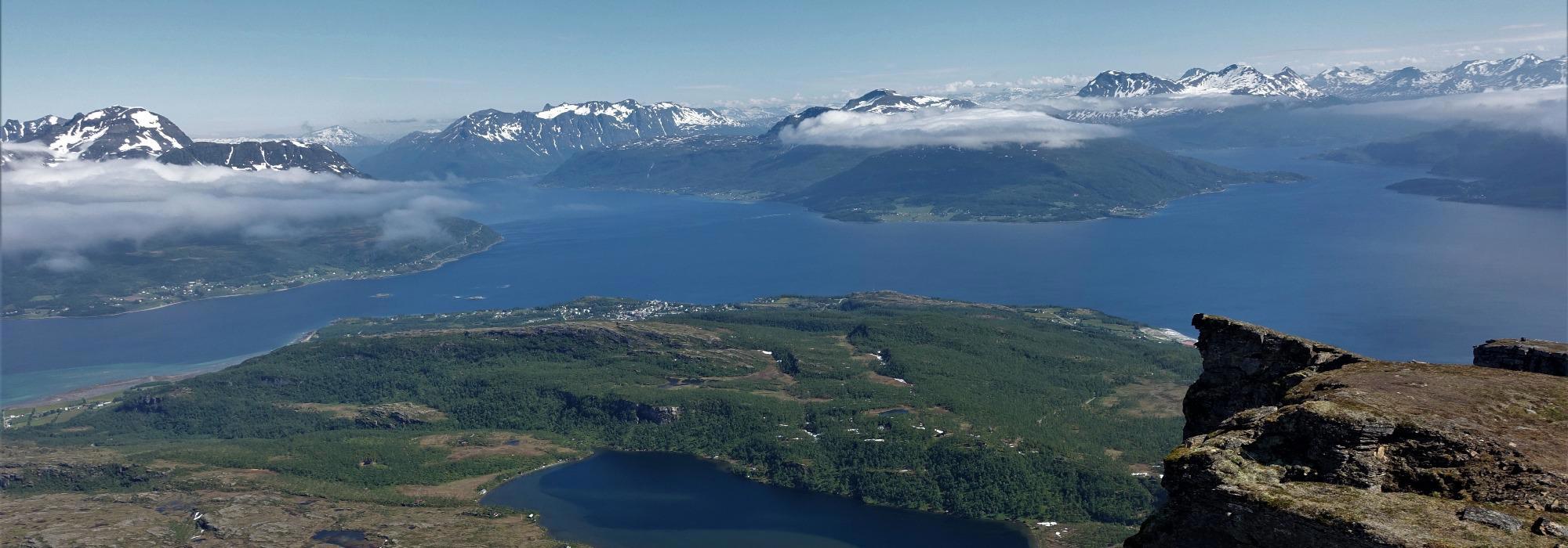 Fjellplanter på Sula, Rolløya