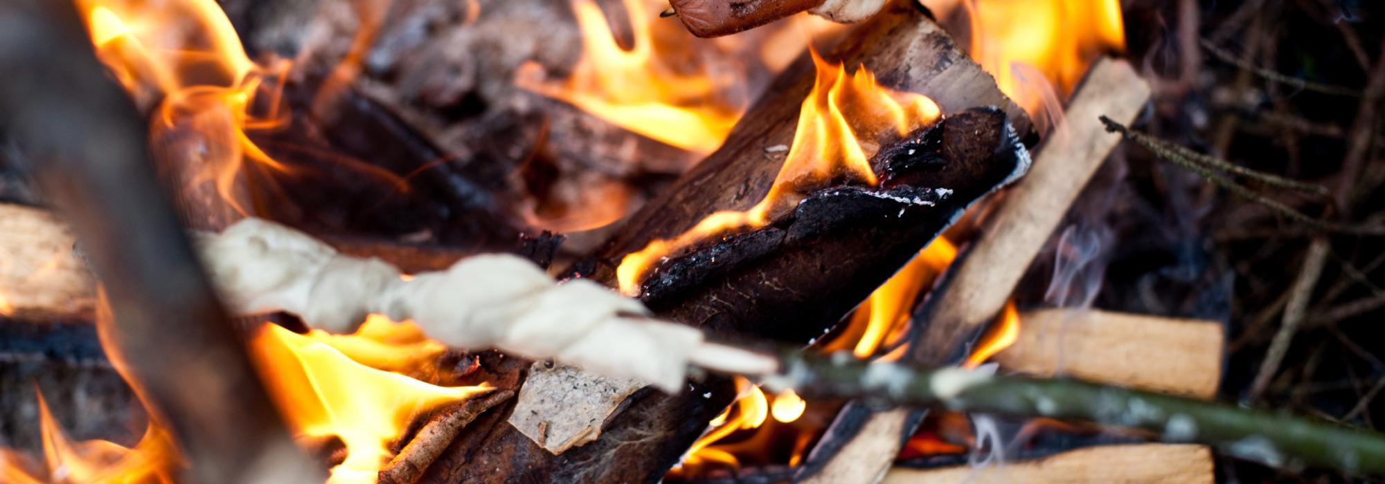 Barnas Turlag Lier - Hvalsdammen rundt