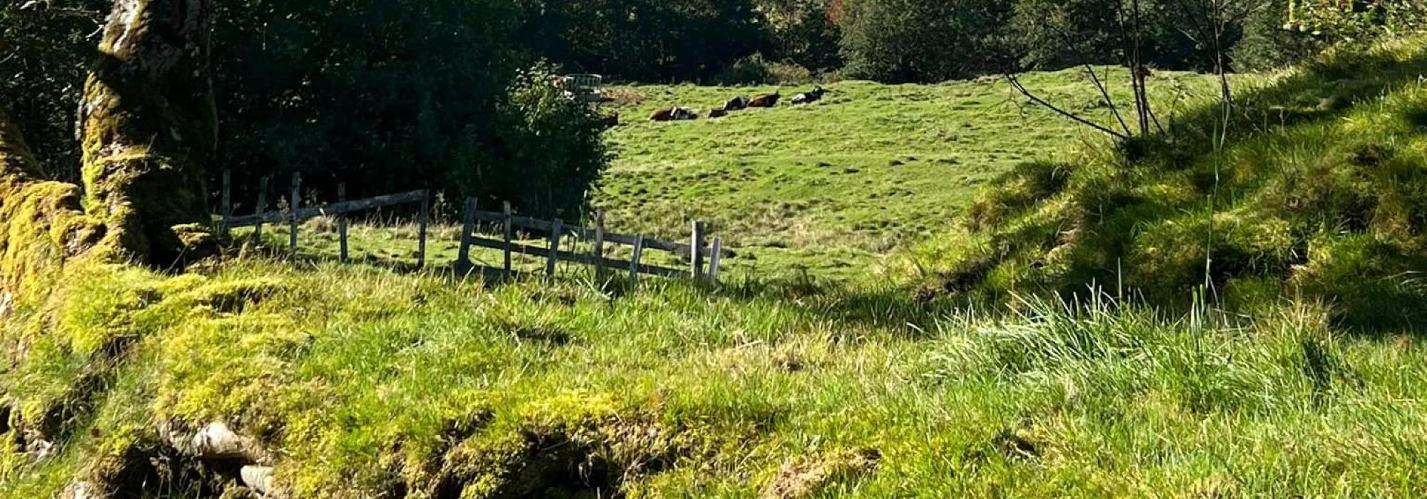 Veteranan Vassfjellet rundt-løypa ***