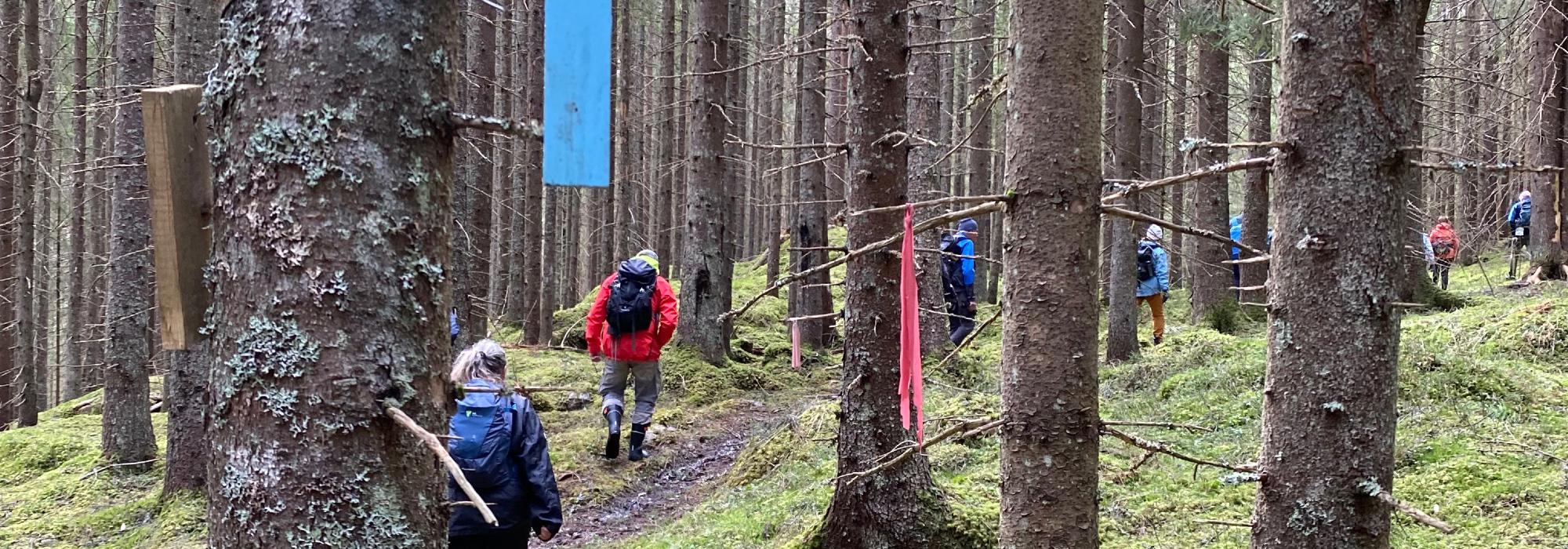 Aktiv i 100 DNT Odal: To-tusenårsvarden, Jenshøgda, vest for Fløyta i Skogbygda, Nes