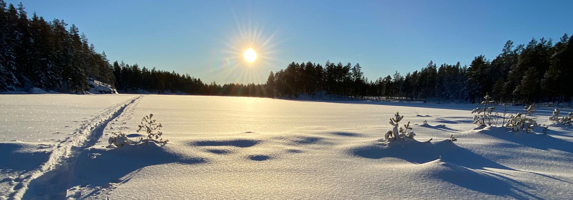 Trugetur i naturskjønne Gjerdrumsalmenningen.