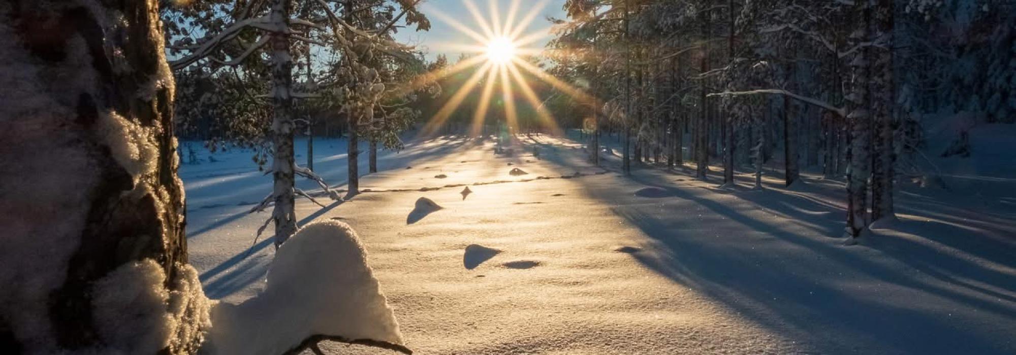 Lang skitur fra Stryken til Sognsvann (Vandregruppa)