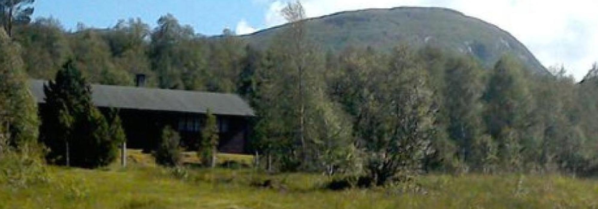Presterud - Skriverhaugen