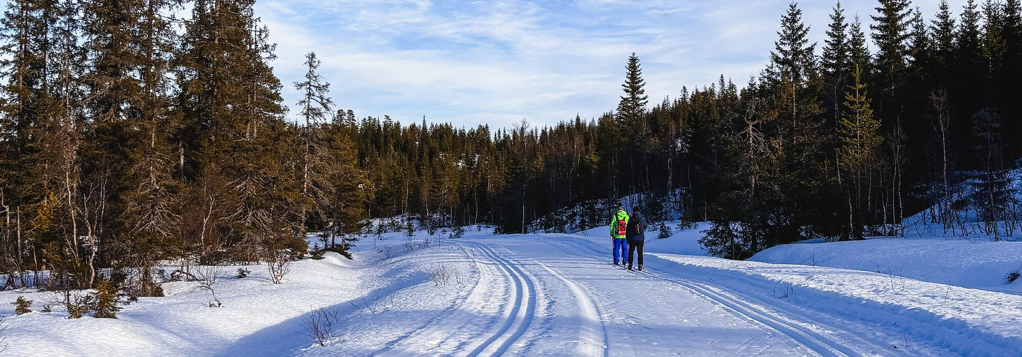 Skitur fra Langangen til Langevannstua