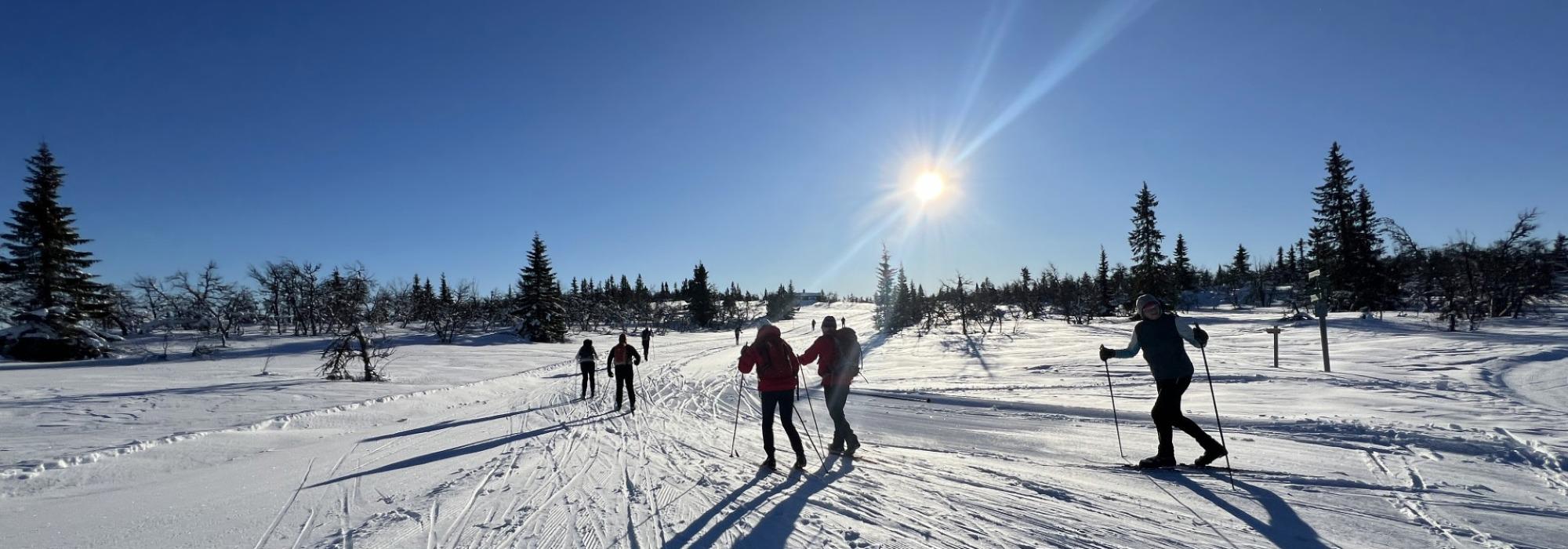 Langtur på ski: Fra Værskei til Biri, Snertingdal (eller Gjøvik)