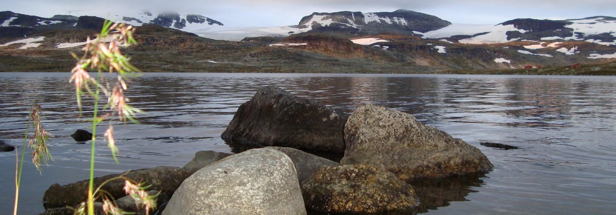 Hardangervidda på tvers – fra Mogen turisthytte til Kinsarvik